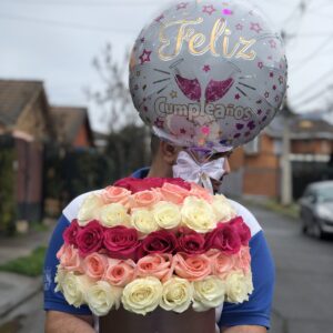 BOX 75 ROSAS