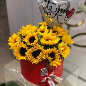 ¡OCASIONES! ANIVERARIO! CUMPLEAÑOS