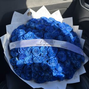100 rosas AZULES