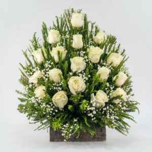 C O N D O L E N C I A S