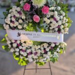 Photoroom_20250625_170344
